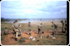 Exercising with NATO Forces in West Germany.