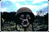 Ration Packs are good for you!
